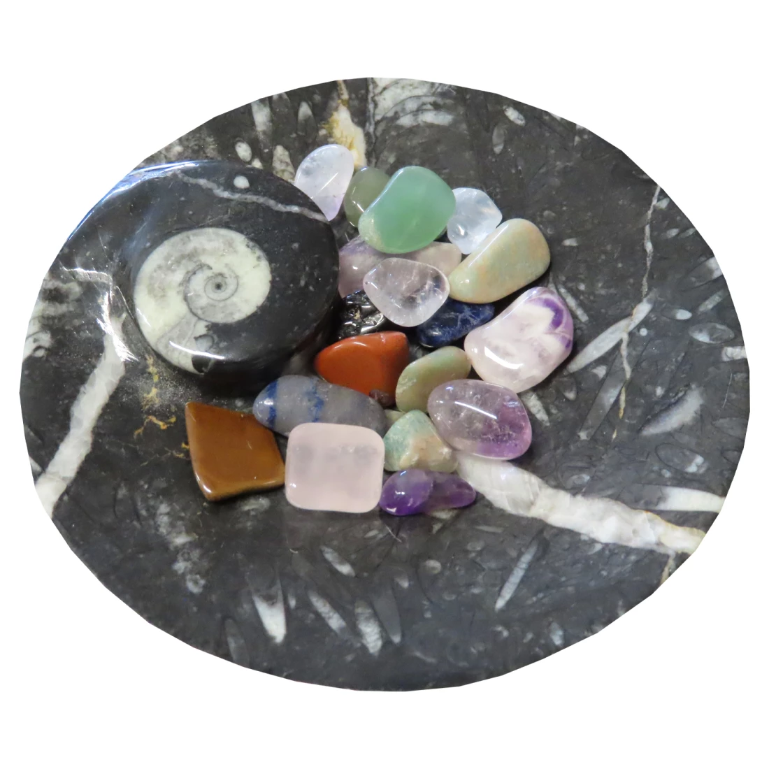Miska Orthoceras a Amonit + dekoračné kamienky